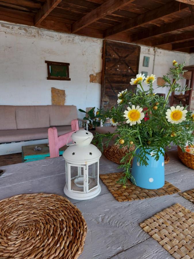 Casa Elsa Διαμέρισμα Puerto del Rosario  Εξωτερικό φωτογραφία